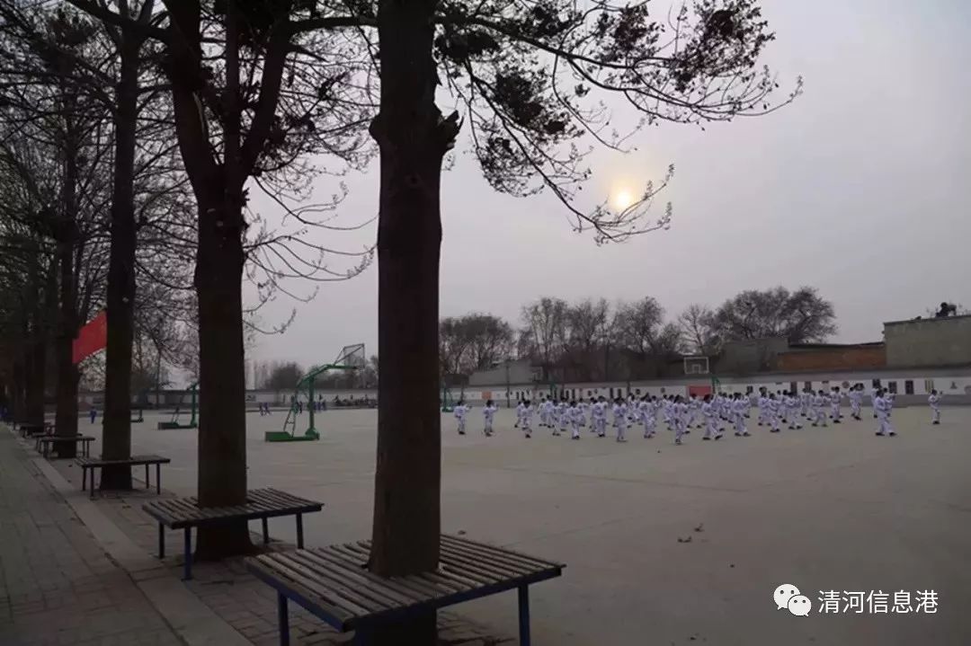 清河县最新大事概览，县域发展的多重维度深度解析