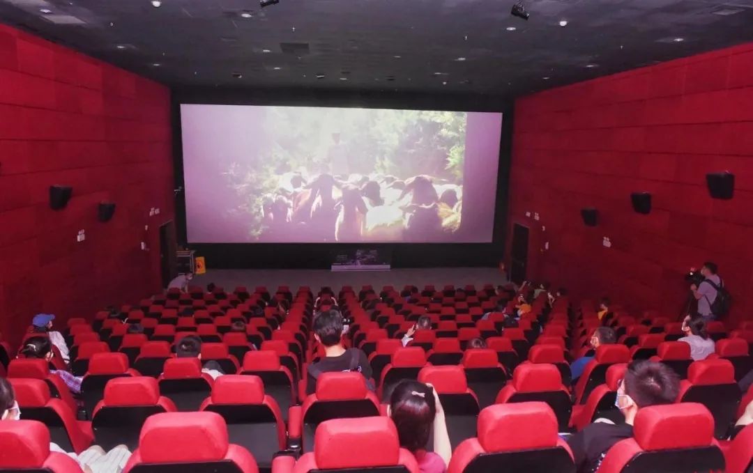 最新电影院上映电影，学习之旅中的变化与成就感的源泉