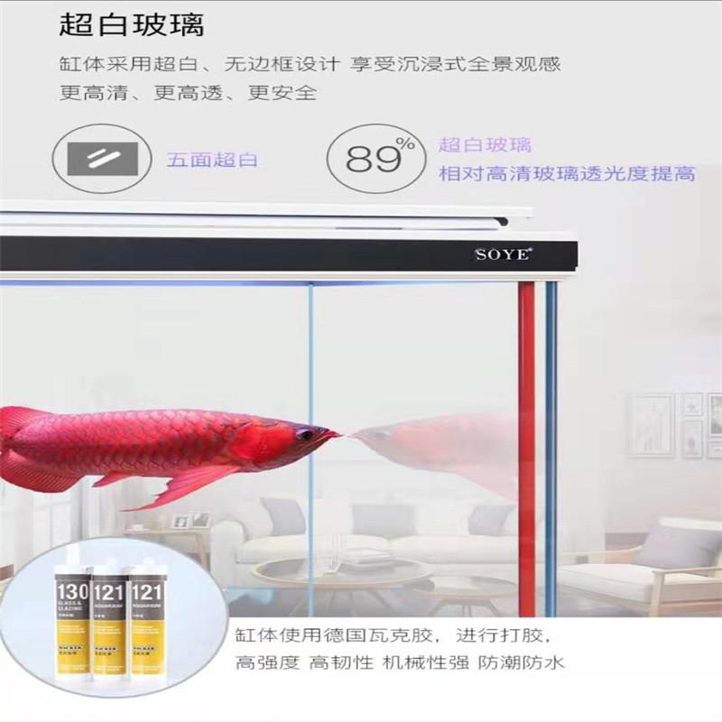 最新鱼缸玻璃技术，塑造优雅水族世界的创新之旅
