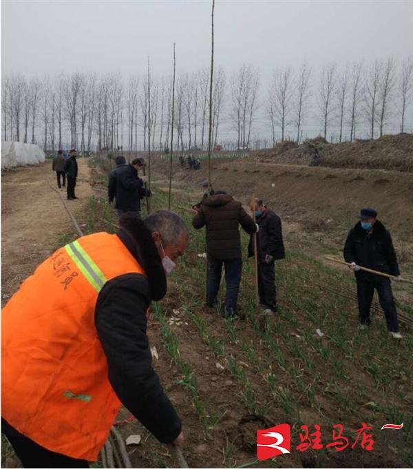 最新疫情防控标准详解与观点论述
